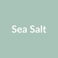 Mayco SW118-P Sea Salt