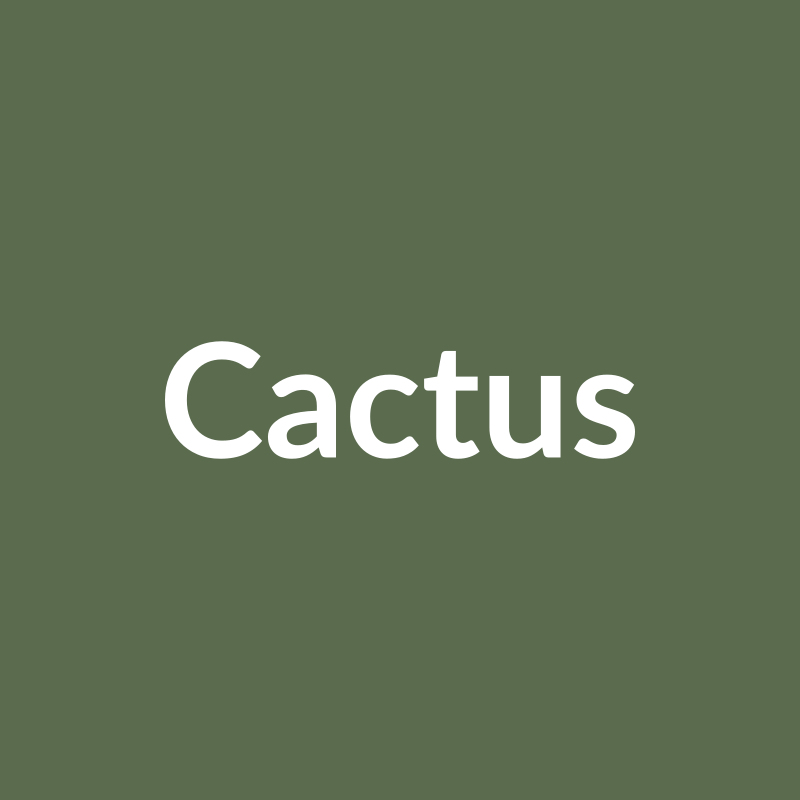 Botz 9875 Cactus
