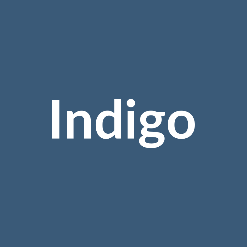 Botz 9889 Indigo