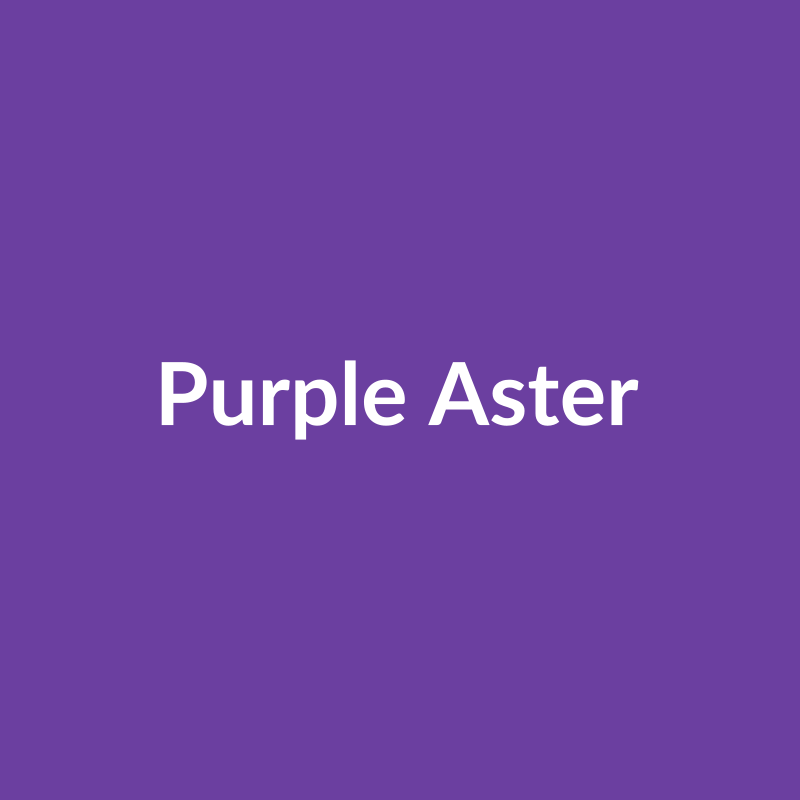 Mayco SW199-P Purple Aster