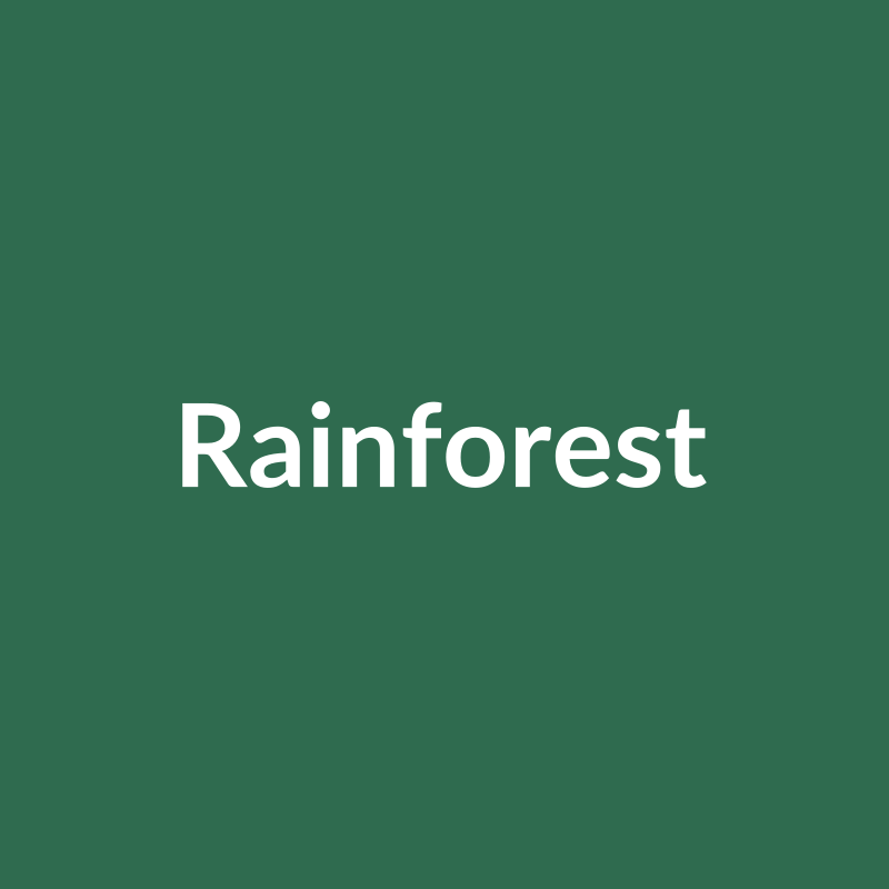 Amaco C-49 Rainforest