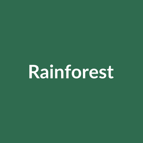 Amaco C-49 Rainforest