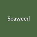 Amaco PC-42 Seaweed