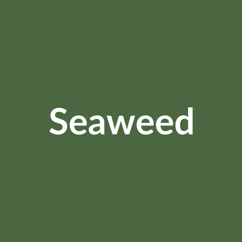 Amaco PC-42 Seaweed