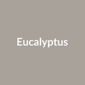 Botz 9865 Eucalyptus