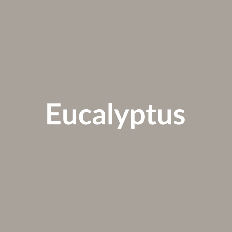 Botz 9865 Eucalyptus