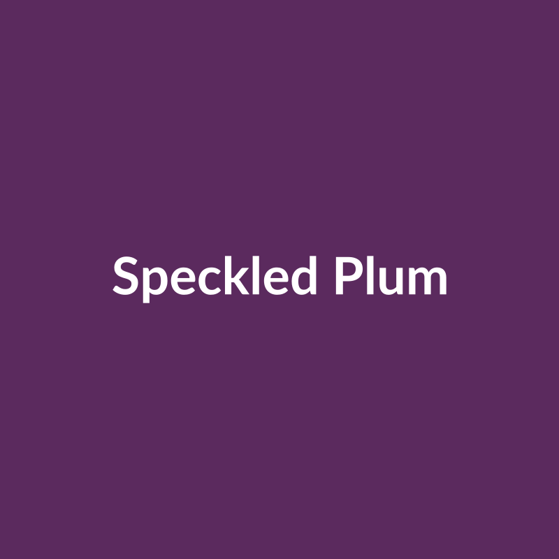Mayco SW113-P Speckled Plum